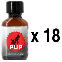 BGP Leather Cleaner PUP 24ml x18
